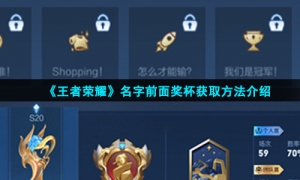 《王者荣耀》名字前面奖杯获取方法介绍