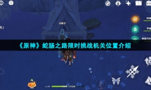 《原神》蛇肠之路限时挑战机关位置介绍