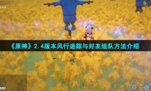 《原神》2.4版本风行迷踪与好友组队方法介绍