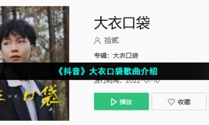 《抖音》大衣口袋歌曲介绍