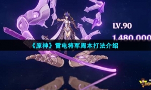 《原神》雷电将军周本打法介绍