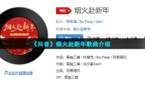 《抖音》烟火赴新年歌曲介绍