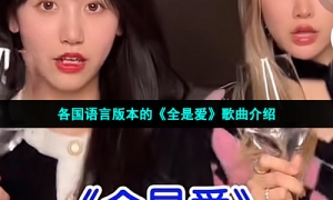 各国语言版本的《全是爱》歌曲介绍