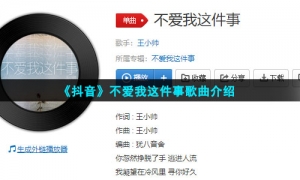 《抖音》不爱我这件事歌曲介绍