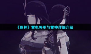 《原神》雷电将军与雷神详细介绍