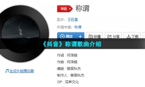 《抖音》称谓歌曲介绍