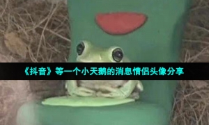 《抖音》等一个小天鹅的消息情侣头像分享