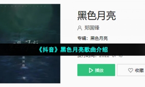 《抖音》黑色月亮歌曲介绍