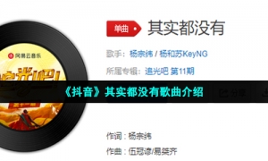 《抖音》其实都没有歌曲介绍