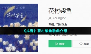 《抖音》花村柴鱼歌曲介绍