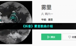 《抖音》雾里歌曲介绍