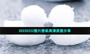 20220222图片壁纸高清原图分享
