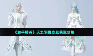 《和平精英》天之羽翼皮肤获取价格