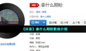 《抖音》拿什么期盼歌曲介绍