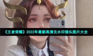 《王者荣耀》2022年最新高清无水印接头图片大全
