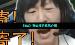 《B站》寄GG梗的意思介绍