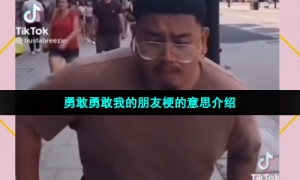 勇敢勇敢我的朋友梗的意思介绍