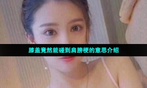 膝盖竟然能碰到肩膀梗的意思介绍