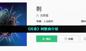 《抖音》刺歌曲介绍