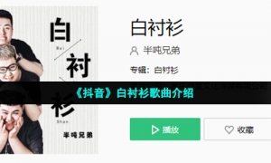 《抖音》白衬衫歌曲介绍