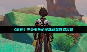 《原神》无处安放的灵魂成就获取攻略