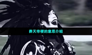 葬天帝梗的意思介绍