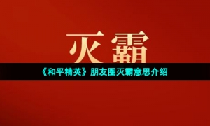 《和平精英》朋友圈灭霸意思介绍