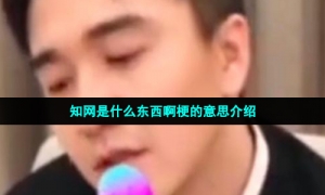 知网是什么东西啊梗的意思介绍