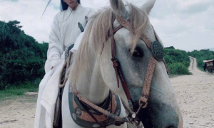 天下才子共聚一堂！夏安雅乐宴赏暗藏神秘杀机？