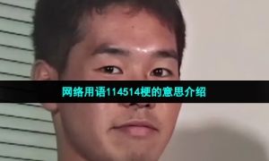 网络用语114514梗的意思介绍