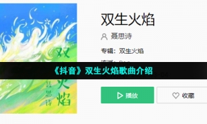 《抖音》双生火焰歌曲介绍
