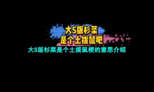 大S版杉菜是个土拨鼠梗的意思介绍