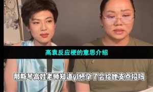 高袁反应梗的意思介绍