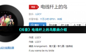 《抖音》电线杆上的鸟歌曲介绍