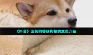 《抖音》面包狗香肠狗梗的意思介绍