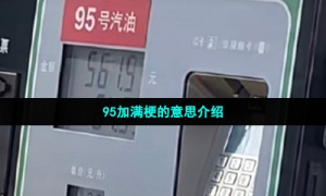 95加满梗的意思介绍