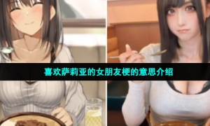 喜欢萨莉亚的女朋友梗的意思介绍