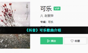 《抖音》可乐歌曲介绍