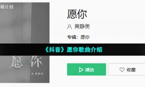 《抖音》愿你歌曲介绍