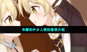 卑鄙的外乡人梗的意思介绍