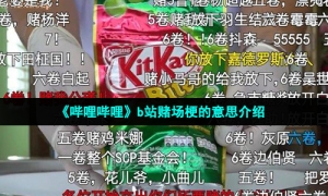 《哔哩哔哩》b站赌场梗的意思介绍