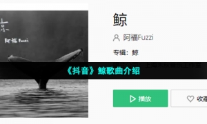 《抖音》鲸歌曲介绍