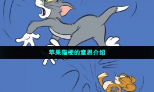 苹果猫梗的意思介绍