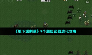 《地下城割草》9个超级武器进化攻略