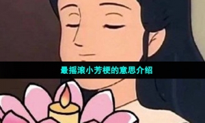 最摇滚小芳梗的意思介绍