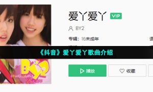 《抖音》爱丫爱丫歌曲介绍