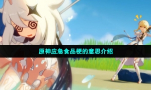 原神应急食品梗的意思介绍