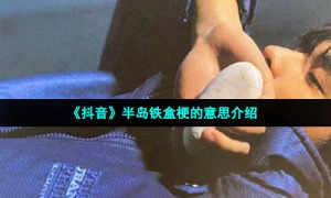 《抖音》半岛铁盒梗的意思介绍