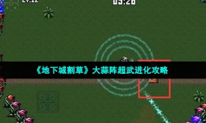 《地下城割草》大蒜阵超武进化攻略
