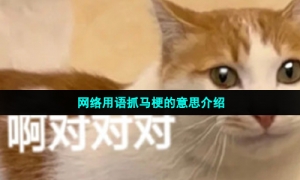 网络用语抓马梗的意思介绍